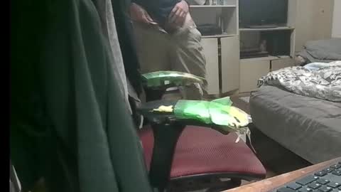 Snapshot of kinchan069 chatting on November 9, 7:50 am kinchan069 online show from November 9, 7:50 am