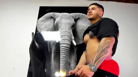 Snapshot of king_falconer chatting on October 31, 2:34 am Angel Falconer online show from October 31, 2:34 am