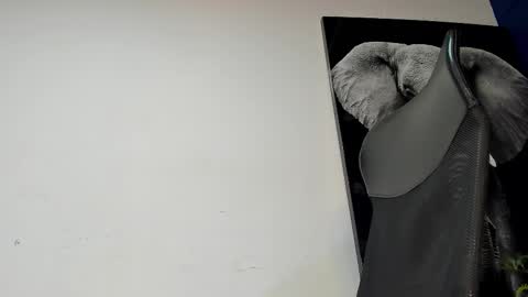 Snapshot of king_falconer chatting on November 4, 2:10 am Angel Falconer online show from November 4, 2:10 am