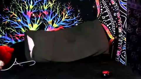 Jerry online show from February 6, 5:12 am