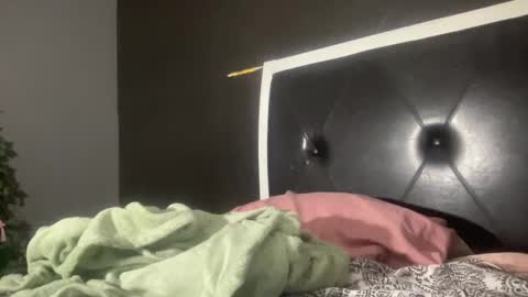 Snapshot of kinkykittee chatting on February 1, 3:08 am Bunniii online show from February 1, 3:08 am