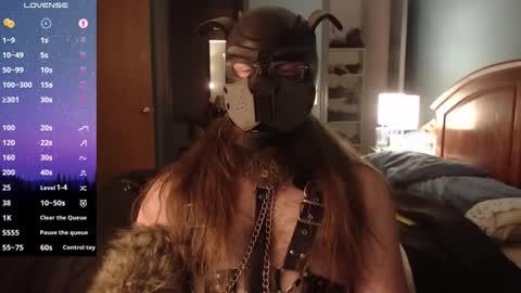 Snapshot of kinkywolf87 chatting on December 3, 7:21 am kinkywolf87 online show from December 3, 7:21 am