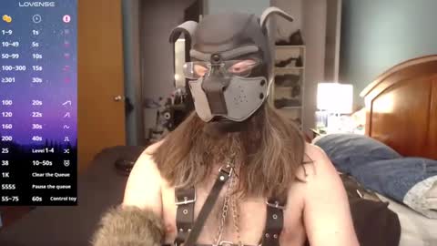 Snapshot of kinkywolf87 chatting on February 23, 7:38 pm kinkywolf87 online show from February 23, 7:38 pm