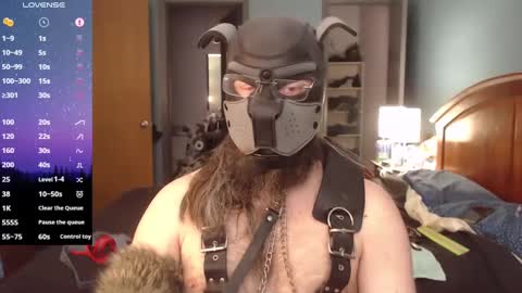 Snapshot of kinkywolf87 chatting on February 27, 6:42 pm kinkywolf87 online show from February 27, 6:42 pm