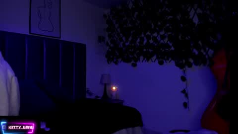 Snapshot of kitty_gang chatting on November 15, 2:31 am Camila online show from November 15, 2:31 am