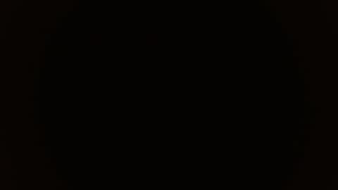 KITTY online show from November 6, 1:01 pm