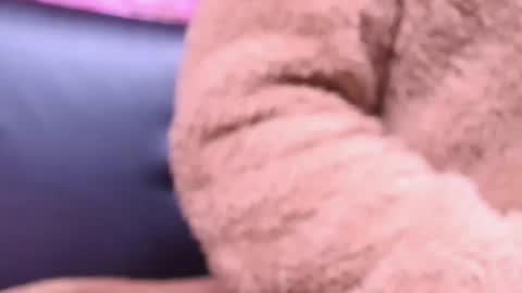 Kitty online show from October 23, 2:22 am