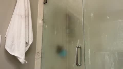 kittypurr79 online show from January 2, 12:02 am