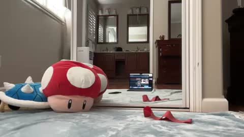 kittypurr79 online show from January 11, 9:04 pm