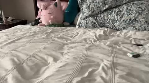 kittypurr79 online show from January 12, 12:07 am