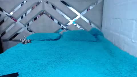 kittyzevee_ online show from February 8, 1:11 am