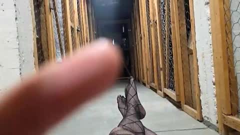 Oliviaaa69 online show from May 1, 12:59 am