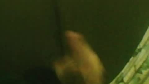 kren565656 online show from December 29, 1:34 am