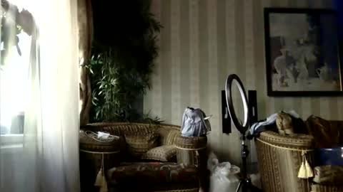 Snapshot of kristinalamour96 chatting on September 19, 12:28 pm kristinalamour96 online show from September 19, 12:28 pm