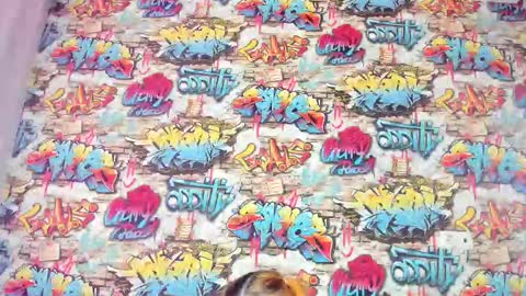 Krys online show from November 27, 12:56 am