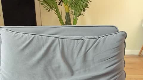 Snapshot of kyle_4u chatting on November 5, 12:16 pm Kyle online show from November 5, 12:16 pm