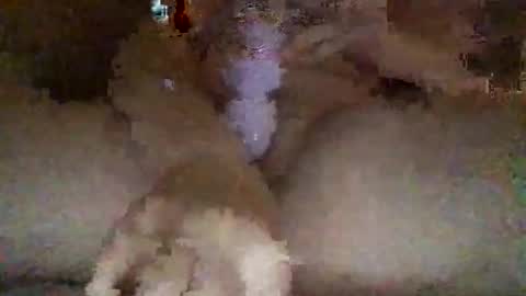 Snapshot of kylie69sm chatting on February 27, 3:06 am kylie online show from February 27, 3:06 am