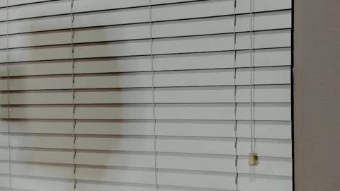 Kylie online show from January 14, 4:07 am