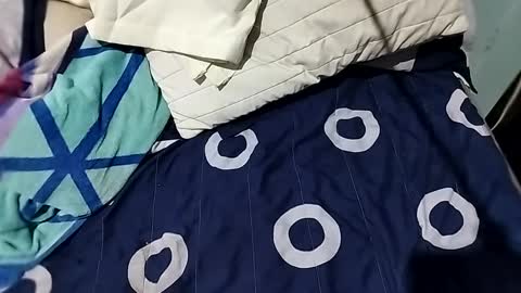 Snapshot of l0c0fundias chatting on September 13, 7:08 am l0c0fundias online show from September 13, 7:08 am