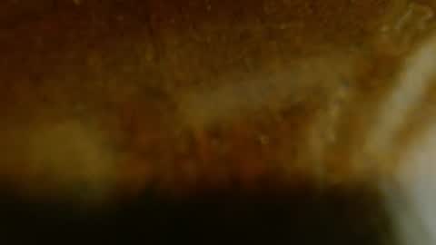 Snapshot of la_teaser chatting on November 20, 1:17 am la teaser online show from November 20, 1:17 am