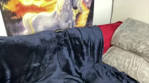 Snapshot of lacy8vankort chatting on February 8, 8:53 pm Lacy8Vankort online show from February 8, 8:53 pm