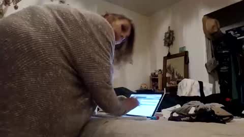 Snapshot of lacybell chatting on November 16, 8:20 am lacybell online show from November 16, 8:20 am