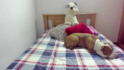 Snapshot of ladahear_ chatting on October 21, 11:55 am Akyra online show from October 21, 11:55 am