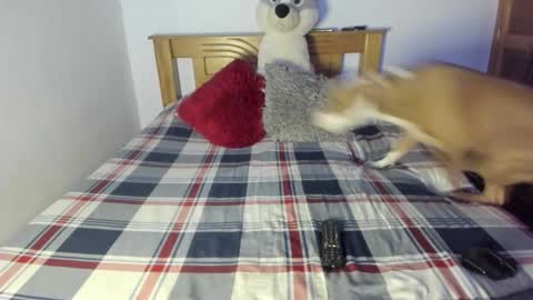 Snapshot of ladahear_ chatting on October 25, 1:07 pm Akyra online show from October 25, 1:07 pm