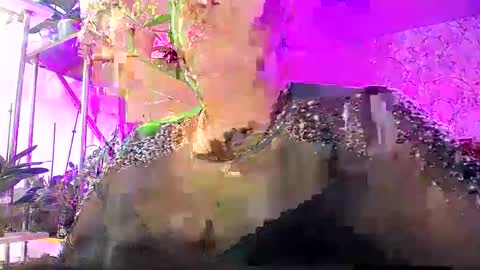 Snapshot of lady_gloria chatting on October 25, 7:38 am Lady Gloria online show from October 25, 7:38 am