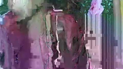 LadyXSnakes online show from September 21, 4:03 am