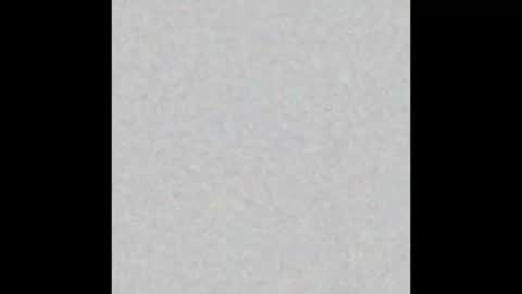  paola and a guest lol    online show from November 12, 10:04 am