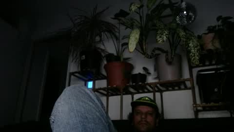 Snapshot of laidback_and_chill chatting on December 18, 12:21 am Rick online show from December 18, 12:21 am