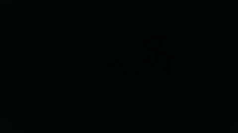 ANNIE online show from January 12, 12:54 pm