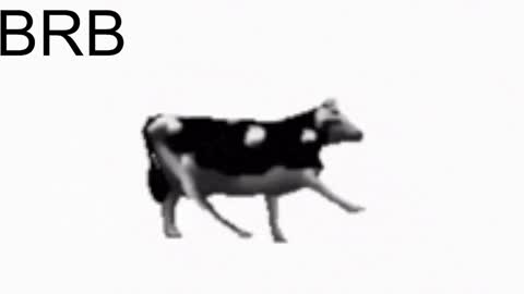 just call me Lana  and her security online show from January 22, 2:24 pm