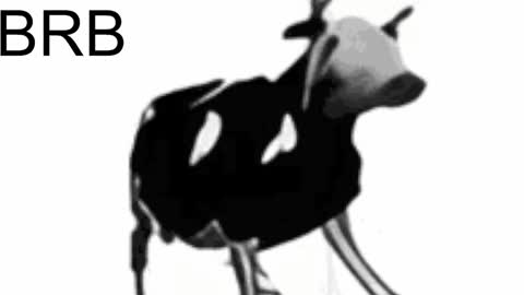 just call me Lana  and her security online show from February 6, 2:15 pm