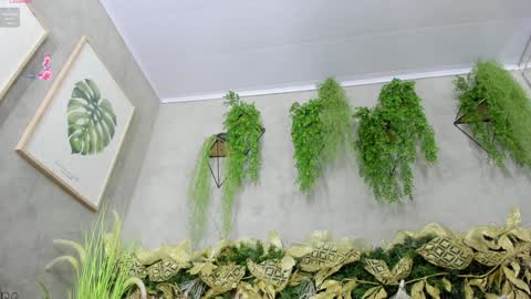 lana_lann online show from December 20, 11:54 am