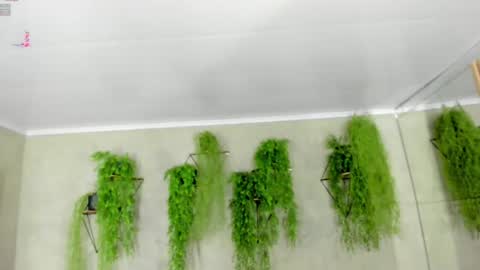 lana_lann online show from January 9, 12:30 pm