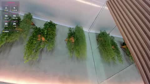 lana_lann online show from September 24, 11:57 am