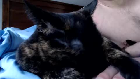 Lance online show from December 16, 4:12 pm