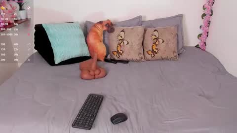 Snapshot of laura1__ chatting on December 15, 11:31 pm laura1__ online show from December 15, 11:31 pm