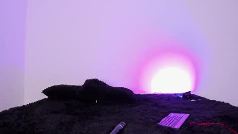 laurensmith9 online show from September 26, 12:42 pm