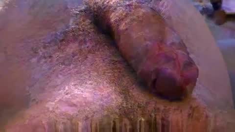 lb_38 online show from November 4, 9:47 pm