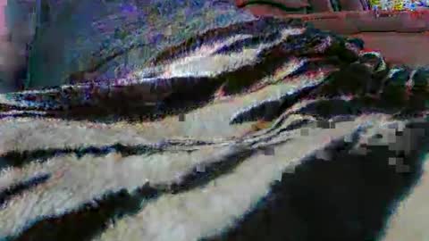 ledmax07 online show from April 13, 1:22 am