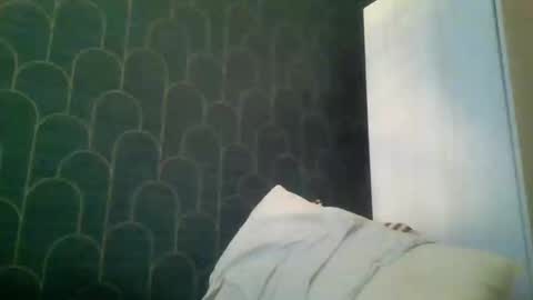 Snapshot of leeuwarder12 chatting on November 20, 7:35 pm leeuwarder12 online show from November 20, 7:35 pm