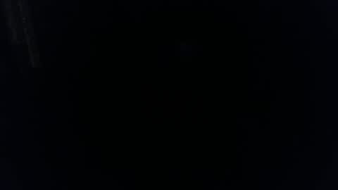 Pussylicker online show from November 3, 11:00 am