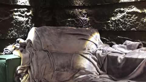 Leo  Diaz online show from November 30, 3:54 am