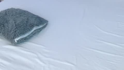 LUCY online show from November 28, 8:55 pm