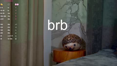 Leslie online show from January 14, 8:31 am