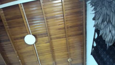 LevySteven online show from November 16, 10:59 pm