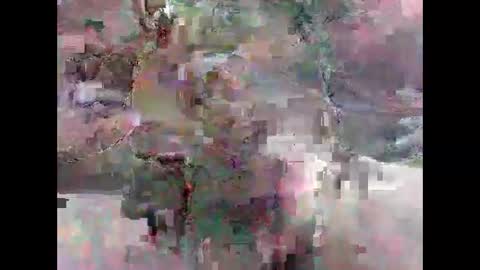 leweylewy online show from November 13, 11:58 pm